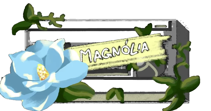 Magnolia Tape